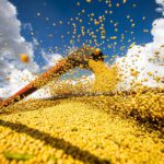 Produção de grãos pode chegar a 358,6 milhões de toneladas no Brasil