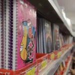 Auxílio Escolar 2025: documentos para recebimento da segunda parcela podem ser protocolados