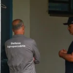 Saiba quais são as cinco investigações de suspeita de Gripe aviária em andamento no Brasil