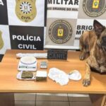 Polícia Civil de Tapejara prende indivíduo por tráfico de drogas durante operação conjunta