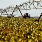 Governo quer reduzir para nove meses o prazo de crédito rural