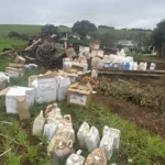 Operação conjunta encontra mais de 1 tonelada de agrotóxicos irregulares em propriedade rural no Noroeste gaúcho