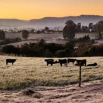 Julho começa com temperaturas negativas e geada no RS