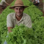 Governo federal anuncia R$ 89 bilhões em recursos para o Plano Safra da Agricultura Familiar