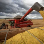 Produção brasileira de grãos deve ser 14,2% maior