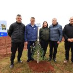 Plantio de 70 mudas de árvores no Loteamento Vida Nova celebra os 70 anos de Tapejara