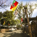 Acampamento Farroupilha de Porto Alegre terá mais de 120 atrações culturais gratuitas a partir desta segunda