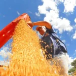 Balança comercial tem menor superávit para julho em três anos