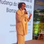 Média de chuvas deve aumentar 25% na Região Sul até 2100