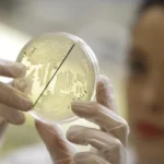 Antibióticos em excesso causam resistência? Entenda o que pode prejudicar tratamentos