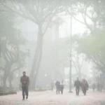 Geada e fortes ventos: massa de ar frio derrubará temperaturas no RS