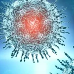 Rio Grande do Sul divulga orientações aos serviços de saúde sobre procedimentos para possíveis casos suspeitos de Ebola