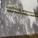 Governo se reúne com União Europeia e tenta reverter veto à carne brasileira