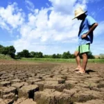 Metade sul do RS poderá ganhar programa permanente contra a estiagem