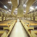 Novo tarifaço de Trump afeta 70% das exportações do agronegócio gaúcho para os Estados Unidos