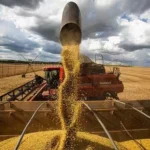 Estados Unidos pode perder para o Brasil o posto de maior exportador agrícola do mundo, diz Financial Times